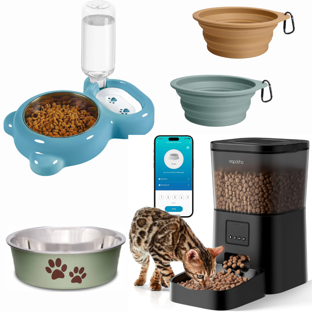 Feeding & Water Accessories