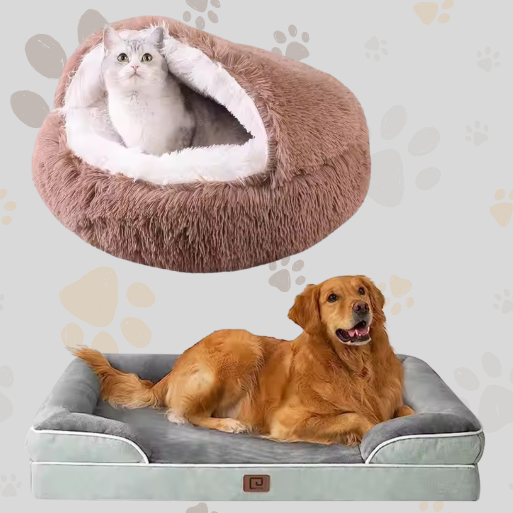 Pet Beds & Comfort