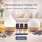 Aromatherapy essential oil set for relaxation and home wellness