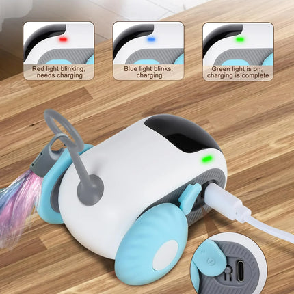 cat training toy with realistic movement