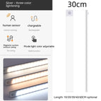 Silver 3 Kinds Of Light / 30 CM