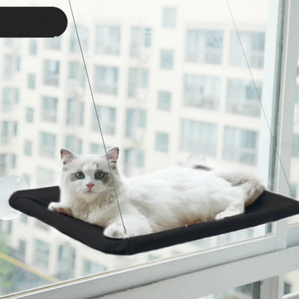 window cat hammock, suction cup cat bed, cat window perch, elevated cat bed, space saving cat bed, cat sunbathing bed