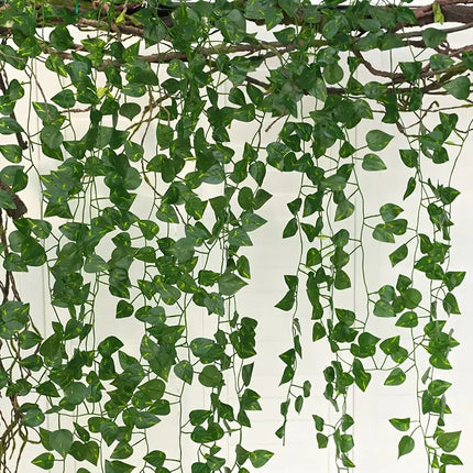 12pcs artificial plant hanging vines for home décor

Lifelike green leaf faux vines for indoor and outdoor use

Long 83-inch artificial vines for draping and hanging

Plastic greenery for jungle-themed parties and DIY projects

Maintenance-free faux vines to beautify bedrooms and living spaces