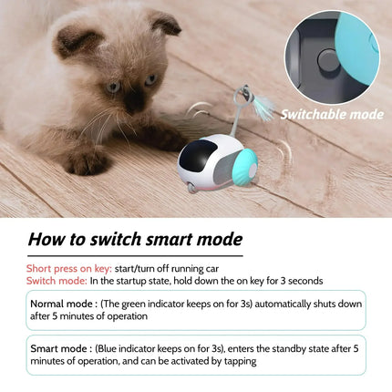 automatic chase toy for cats and small dogs