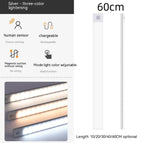 Silver 3 Kinds Of Light / 60 CM