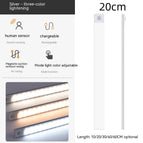 Silver 3 Kinds Of Light / 20 CM