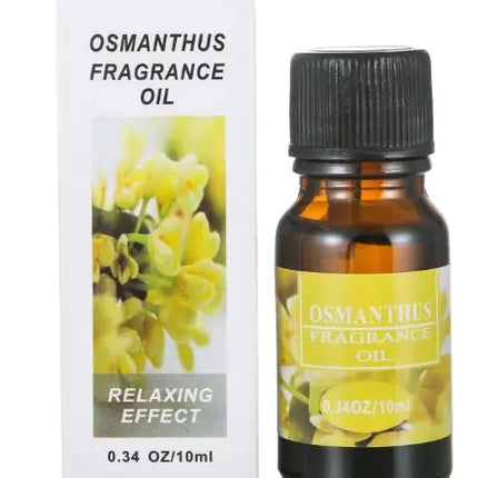 Aromatherapy Essential Oils – 12 Scent Collection