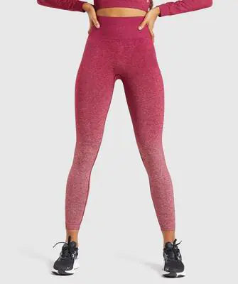 Women Seamless Gym Yoga Pants – High Stretch Performance Leggings